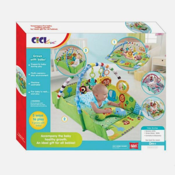 فرشات ارضية