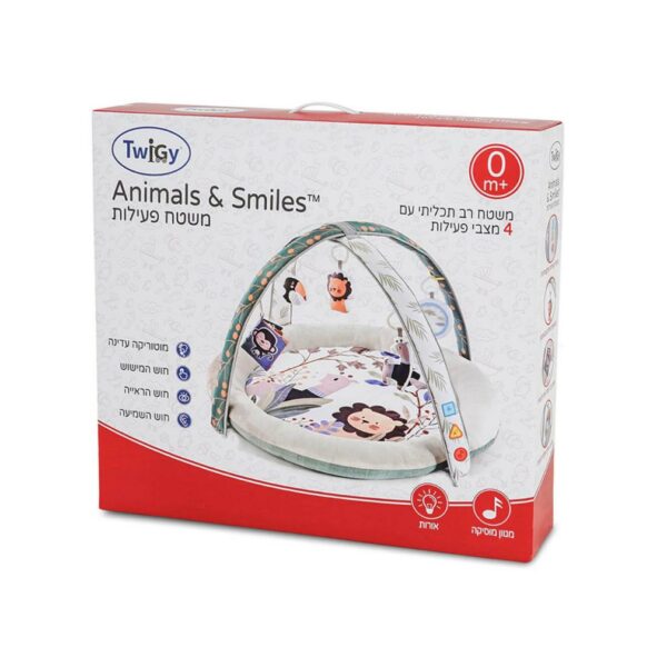 سطح متعدد الوظائف